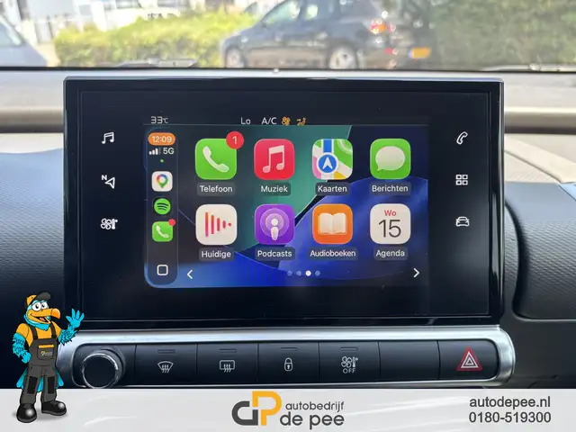 Citroen C4 Cactus view 10
