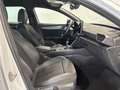CUPRA Leon 1.5 TSI 110 Blanco - thumbnail 5