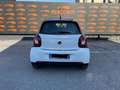 smart forFour 70 1.0 twinamic Youngster Bianco - thumbnail 6