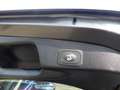 Ford Focus Titanium FAHRASSISTENTS- EASY-DRIVER- WINTER-PAKET Grau - thumbnail 9