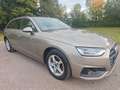 Audi A4 Avant 35 TFSI *S Line*Leder*Panorama Gris - thumbnail 1