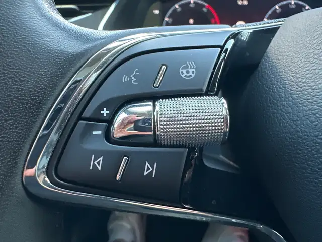 Skoda Octavia view 11