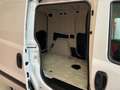 Fiat Doblo 1.3 mjt 95cv  Cargo 6D TEMP Bianco - thumbnail 6