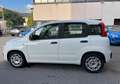 Fiat Panda Panda 1.0 firefly hybrid Bianco - thumbnail 8