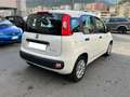 Fiat Panda Panda 1.0 firefly hybrid Bianco - thumbnail 5