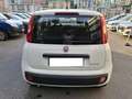 Fiat Panda Panda 1.0 firefly hybrid Weiß - thumbnail 6