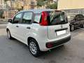Fiat Panda Panda 1.0 firefly hybrid Bianco - thumbnail 7