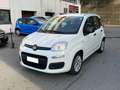 Fiat Panda Panda 1.0 firefly hybrid Bianco - thumbnail 1