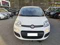 Fiat Panda Panda 1.0 firefly hybrid Weiß - thumbnail 2