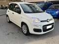 Fiat Panda Panda 1.0 firefly hybrid Bianco - thumbnail 3