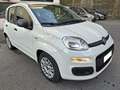 Fiat Panda Panda 1.0 firefly hybrid Weiß - thumbnail 3