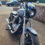 Harley-Davidson Sportster 883 Gri - thumbnail 3