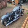 Harley-Davidson Sportster 883 Gri - thumbnail 5