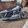 Harley-Davidson Sportster 883 Gri - thumbnail 1