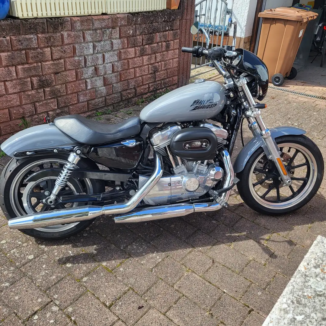 Harley-Davidson Sportster 883 Gri - 1