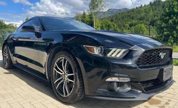 Basis Fastback