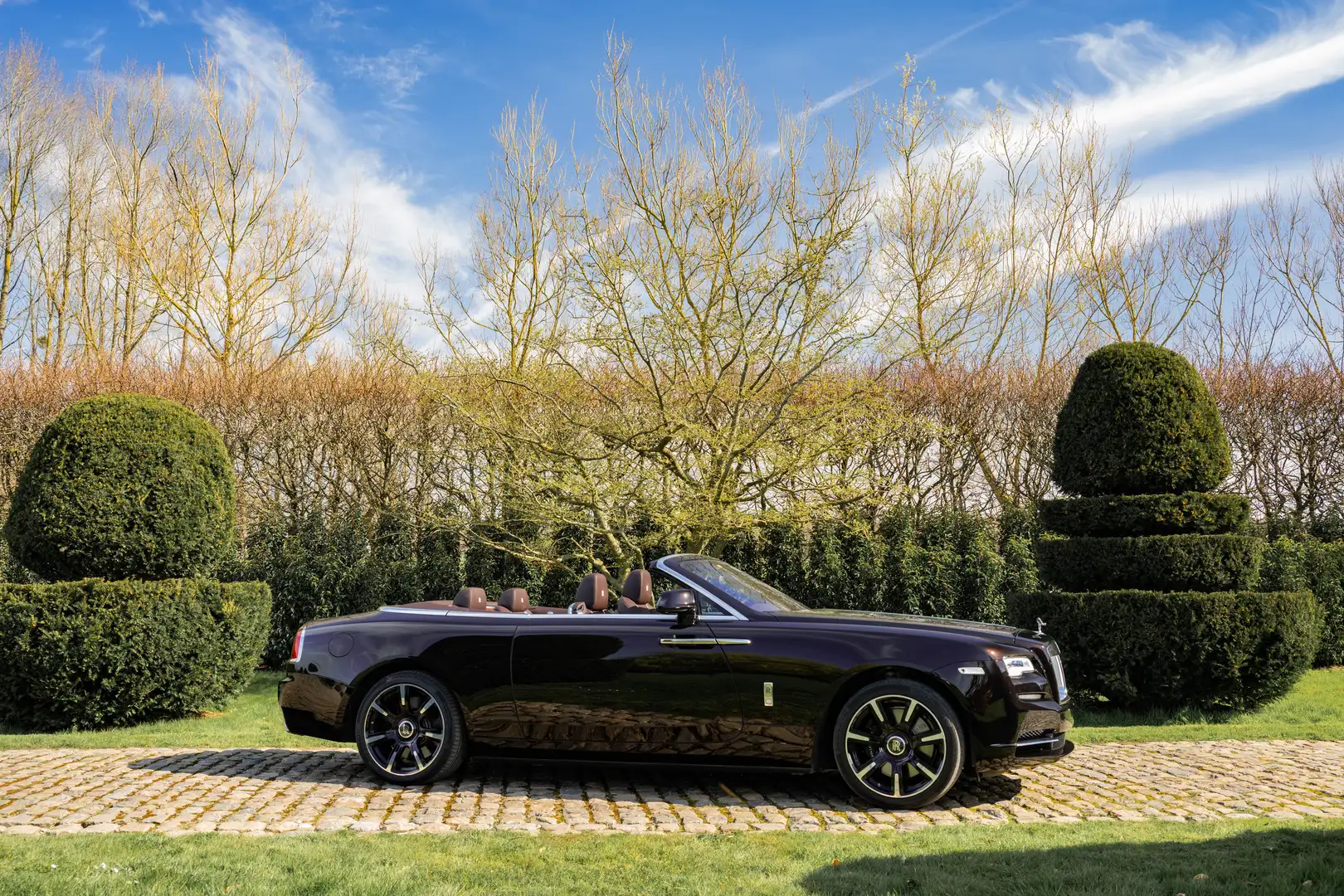 Rolls-Royce Dawn | Elegant Colour Combo Braun - 2