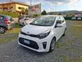Kia Picanto Picanto 1.0 12V GPL 5 porte Urban Weiß - thumbnail 1