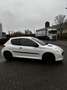 Peugeot 206 206 1.1 XR - thumbnail 2