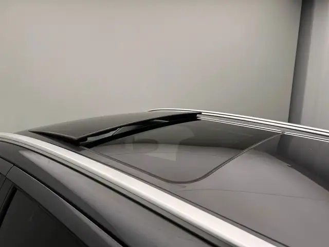 Suzuki S-Cross view 19