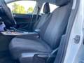 Peugeot 308 BlueHDi 130 S&S EAT8 SW Business Bianco - thumbnail 7