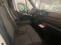 Renault Master OCCASIONE !!! MASTER T35 2.3 dci 135cv L2H2 Ice Bianco - thumbnail 3