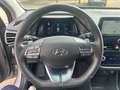 Hyundai IONIQ 38kWh PRIME / SD / WR Grau - thumbnail 18