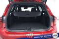 Ford Focus Turnier ST-Line X #Panorama #Matrix-LED #ACC #e... Rot - thumbnail 10