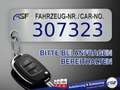 Ford Focus Turnier ST-Line X #Panorama #Matrix-LED #ACC #e... Rot - thumbnail 2