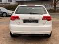 Audi A3 Sportback 1.6 TDI Attraction Weiß - thumbnail 5