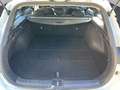 Kia Ceed SW / cee'd SW Ceed SW 1,5 TGDI Silb Weiß - thumbnail 13