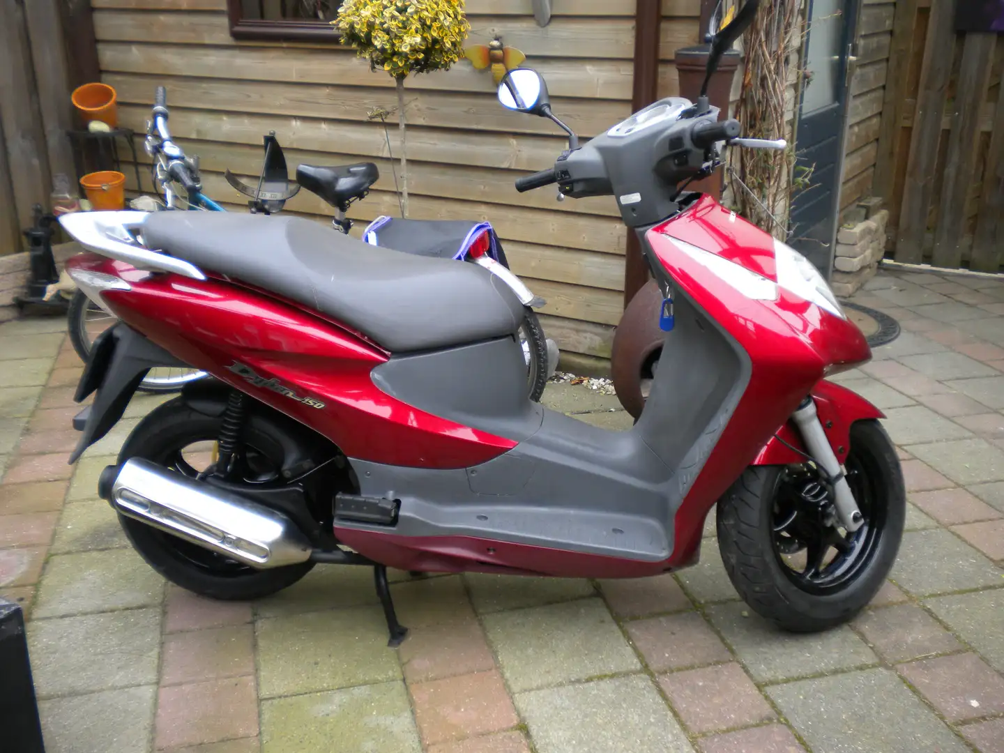 Honda Dylan 125 Rosso - 1
