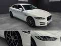 Jaguar XE 2.0 Diesel Portfolio AWD Aut. 180 Blanco - thumbnail 16