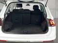 Volkswagen Tiguan Life TDI 4MOTION DSG Weiß - thumbnail 13