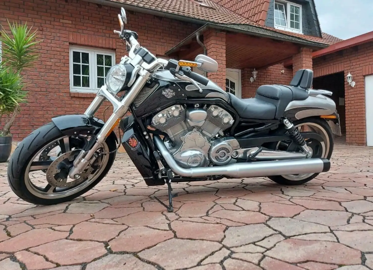 Harley-Davidson V-Rod Muscle - Sonderfarbe - 1A alles original Ezüst - 1
