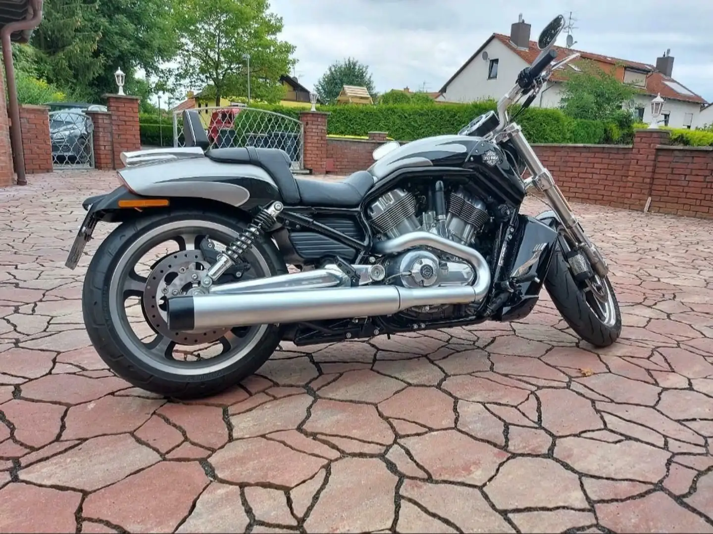 Harley-Davidson V-Rod Muscle - Sonderfarbe - 1A alles original Silber - 2