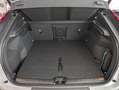 Volvo C40 Plus Recharge Pure Electric 2WD Weiß - thumbnail 18