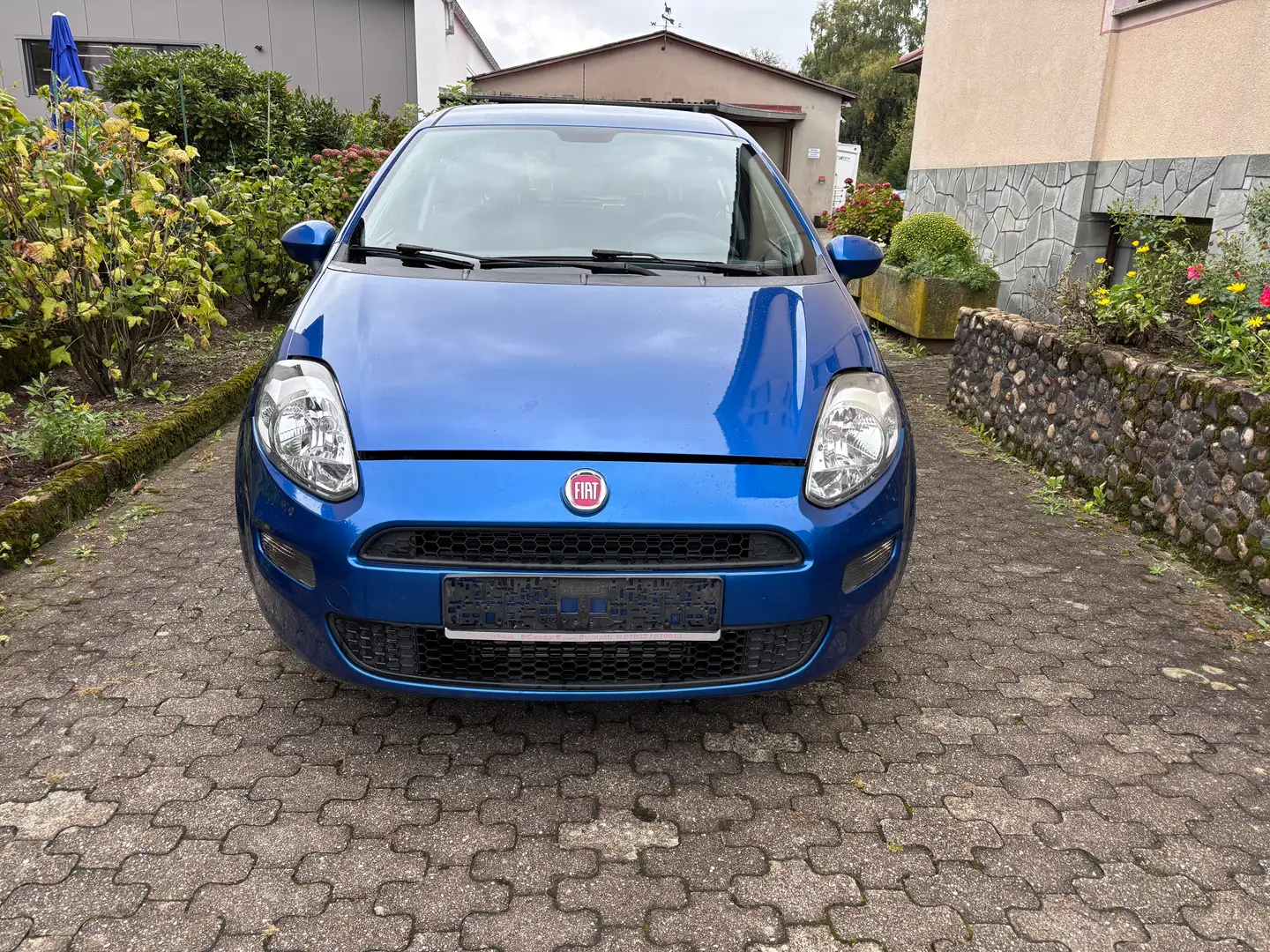 Fiat Punto Blau - 2