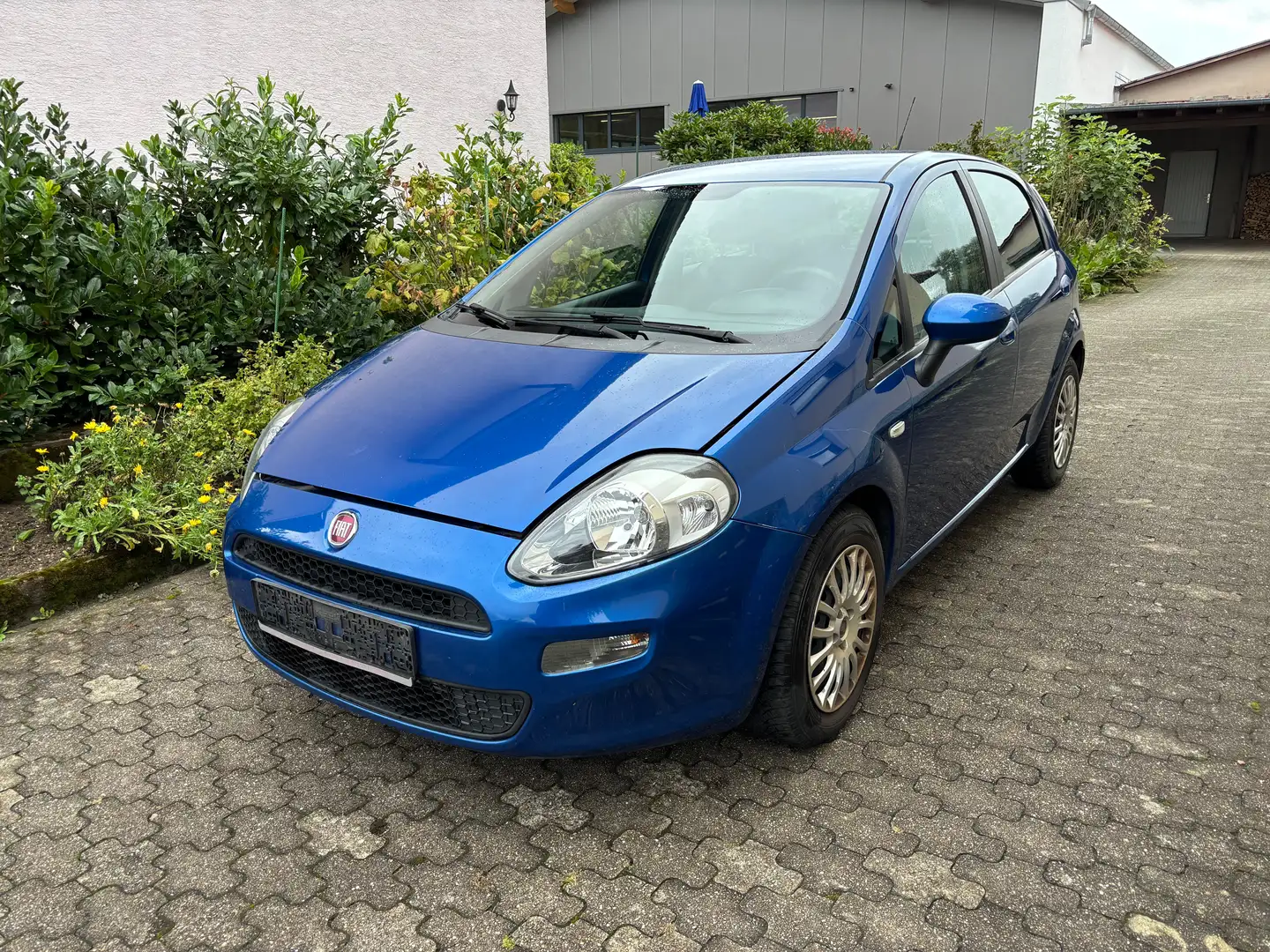 Fiat Punto Blau - 1