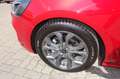 Ford Focus Turnier ST-Line /Automatik/Panorama/AHK Rot - thumbnail 5