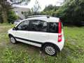 Fiat Panda 1.2 Climbing 4x4 69cv my12 - thumbnail 3