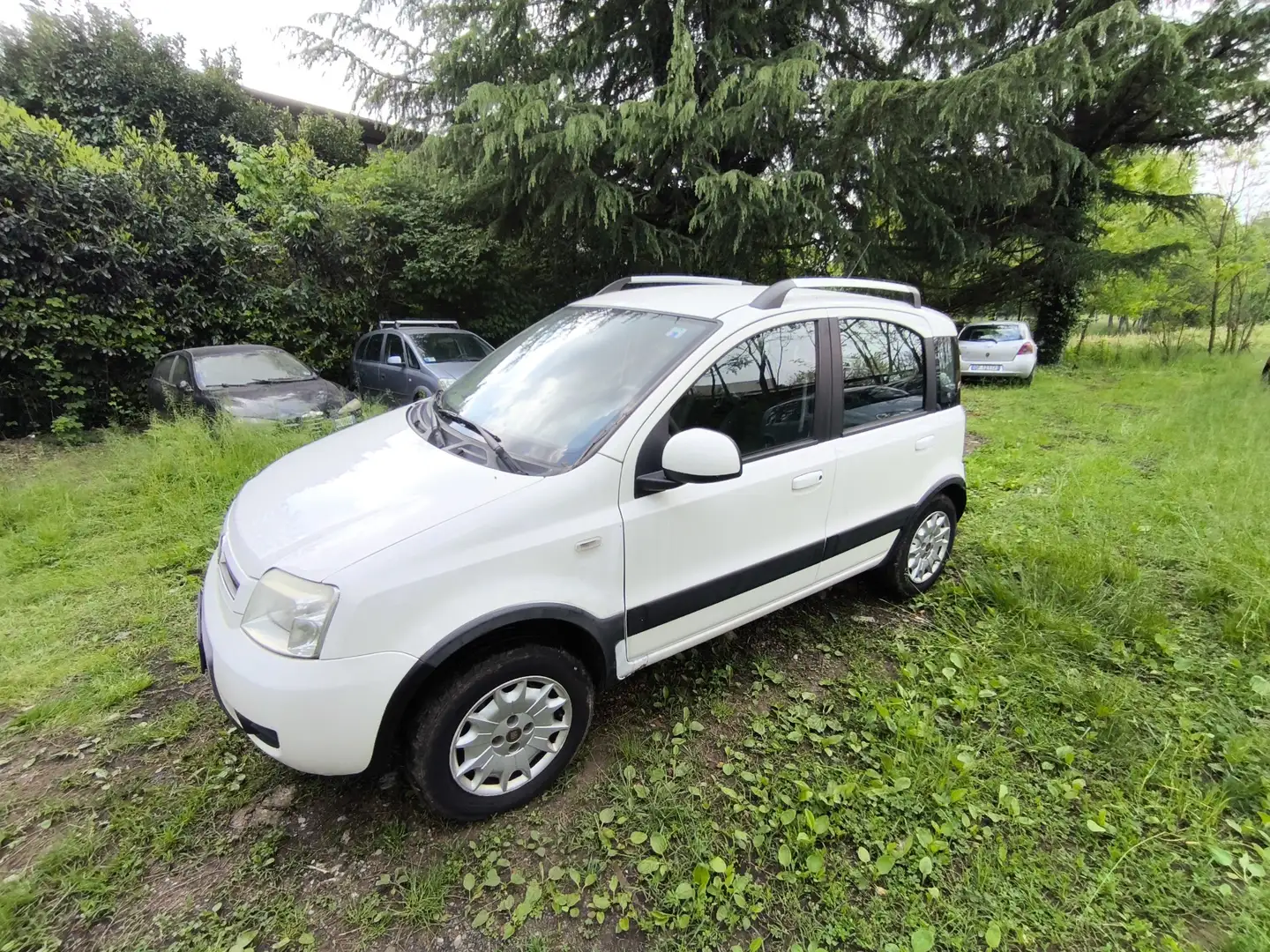 Fiat Panda 1.2 Climbing 4x4 69cv my12 - 1