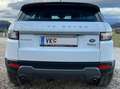 Land Rover Range Rover Evoque Range Rover Evoque Pure 2,0 TD4 Aut. Pure Weiß - thumbnail 4