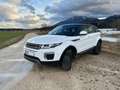 Land Rover Range Rover Evoque Range Rover Evoque Pure 2,0 TD4 Aut. Pure Weiß - thumbnail 1