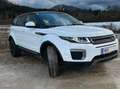 Land Rover Range Rover Evoque Range Rover Evoque Pure 2,0 TD4 Aut. Pure Weiß - thumbnail 2