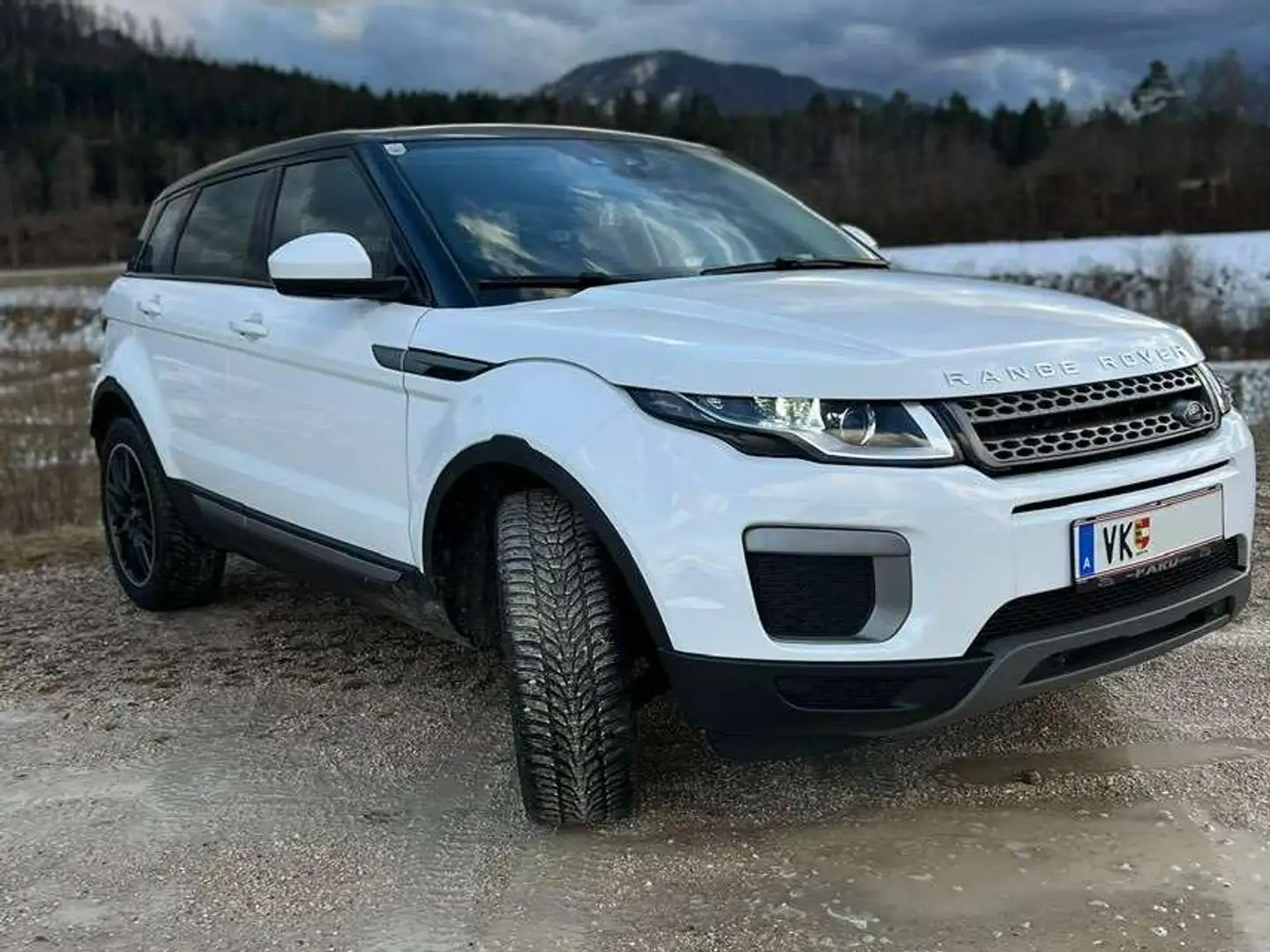Land Rover Range Rover Evoque Range Rover Evoque Pure 2,0 TD4 Aut. Pure Weiß - 2