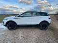 Land Rover Range Rover Evoque Range Rover Evoque Pure 2,0 TD4 Aut. Pure Weiß - thumbnail 3