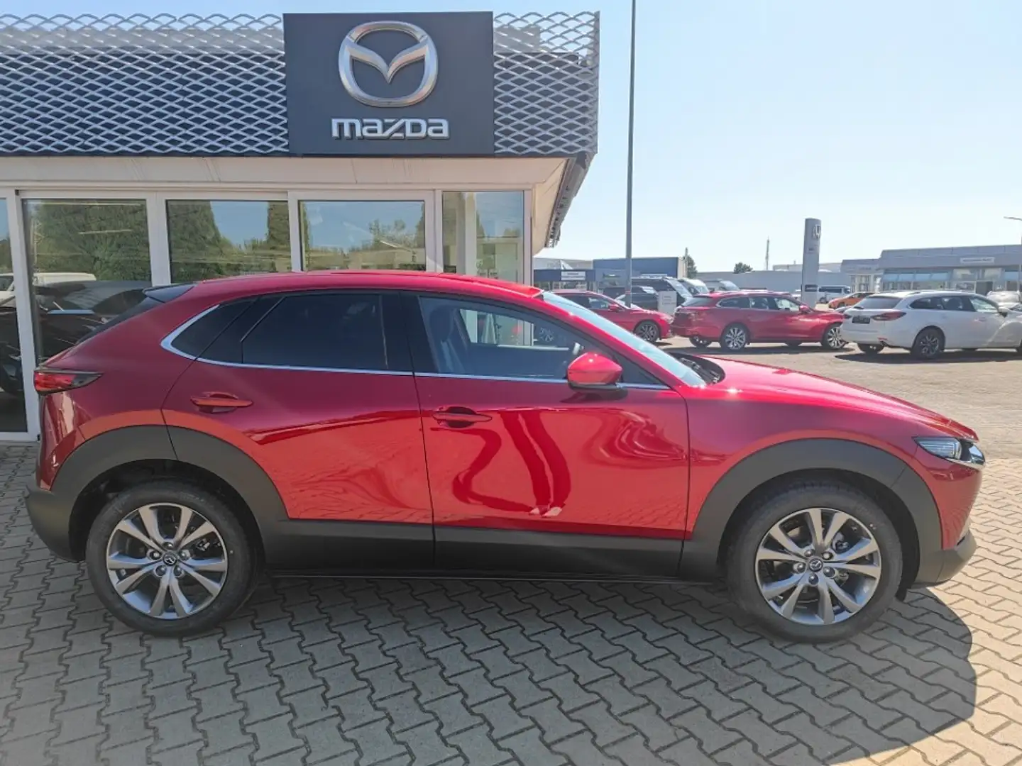 Mazda CX-30 2.0L e-SKYACTIV G 150ps Mild Hybrid; 360 Grad Kame Rot - 2