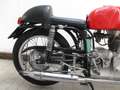 Gilera Saturno versione - Milano-Taranto Rosso - thumbnail 3