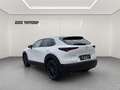 Mazda CX-30 e-Skyactive G122 Homura Aut. Weiß - thumbnail 3